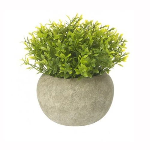 Artificial Boxus Plants in Pot 12cm  - BOX002 6C