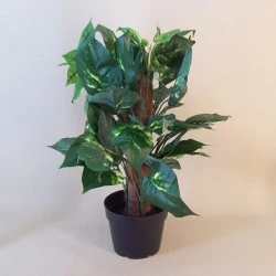 Artificial Plants Potted Dieffenbachia - DIE001 6D