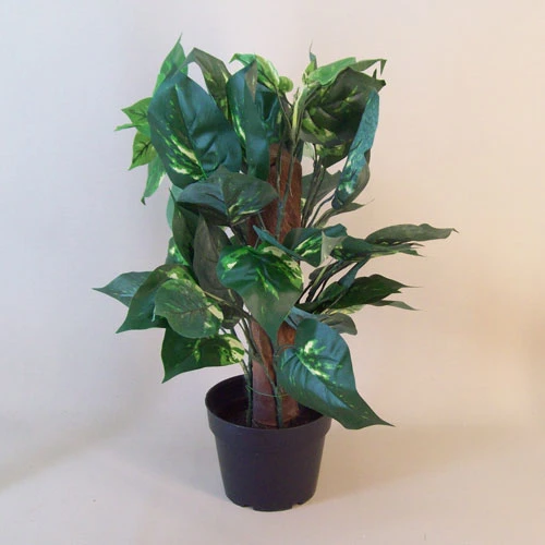 Artificial Plants Potted Dieffenbachia - DIE001 6D