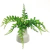 Artificial Fern in White Cermic Pot - FER056 FR