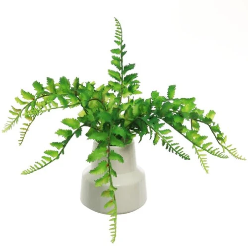 Artificial Fern in White Cermic Pot - FER056 FR