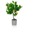 Artificial Lemon Tree 45cm - LEM505 3A