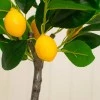 Artificial Lemon Tree 45cm - LEM505 3A