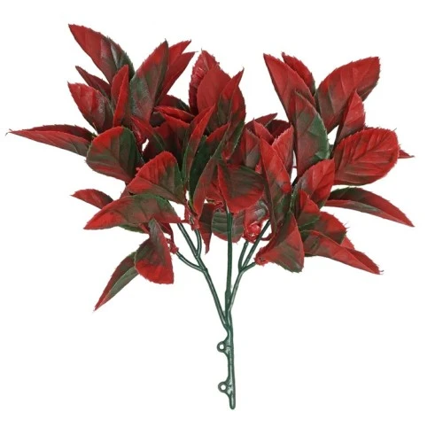 Budget Photinia Plants Two Tone Green Red 27cm - PHO001 HH1