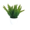 Artificial Plants Asplenium Plant in White Pot 26cm - ASP008