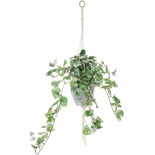Artificial String of Hearts Plant in Macrame Hanger - STR003 FR
