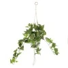 Artificial Trailing Philodendron in Macrame Hanger - PHI019 5B
