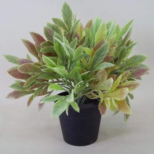 Artificial Plants Sage in Pot 25cm - SAG001 O3