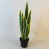 Artificial Pot Plants | Sansevieria Large 64cm - SAN004 5E