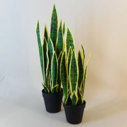 Artificial Pot Plants | Sansevieria Large 64cm - SAN004 5E