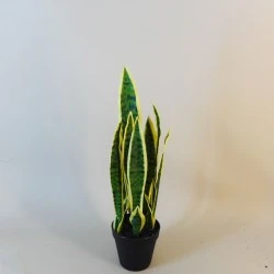 Artificial Pot Plants | Sansevieria Small 51cm - SAN003 5C