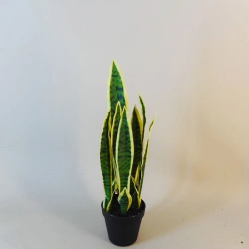 Artificial Pot Plants | Sansevieria Small 51cm - SAN003 5C