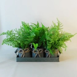 Artificial Ferns in Verdi Gris Zinc Planters - FER021 2C
