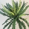 Artificial Boston Fern Plant 38 Leaves 42cm - BOS004 AA4