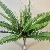 Artificial Boston Fern Plants with UV Protection H53cm - BOS001 AA4