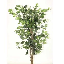 Artificial Ficus Tree 185cm - FIC014