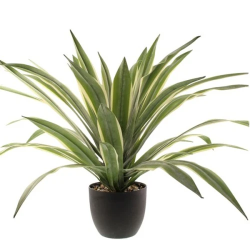 Artificial Plants Potted Luxury Dracaena 65cm - DRA005 7A