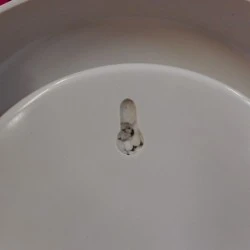 Artificial Plants Potted Grass Green 36cm - GRA005