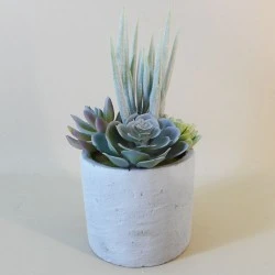 Potted Artificial Succulents in Grey Pot - SUC040 5B