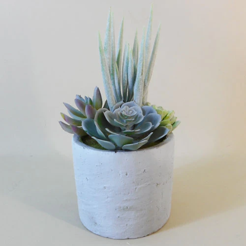 Potted Artificial Succulents in Grey Pot - SUC040 5B