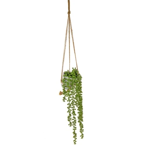 Potted Senecio String of Pearls Plant Hanging - SEN002 2D