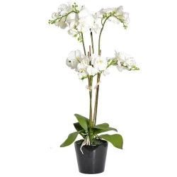 Real Touch Phalaenopsis Orchid Plant White 92cm - ORP042 5A/6A