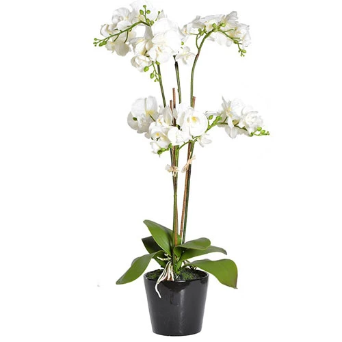 Real Touch Phalaenopsis Orchid Plant White 92cm - ORP042 5A/6A