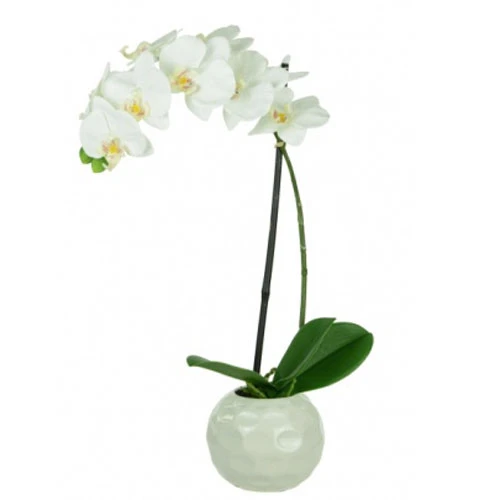 Real Touch Artificial Phalaenopsis Orchid Plant in White Dimpled Pot - ORC021 5C