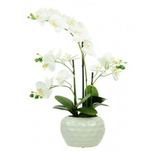 Real Touch Artificial Phalaenopsis Orchid Plants in White Dimpled Pot 53cm - ORC022 4A