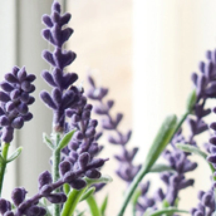 Flowering Artificial Plants Without Pots