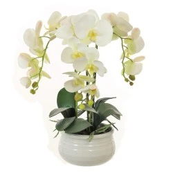 Artificial Phalaenopsis Orchid Plants WHite - ORC020 1B