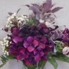 Statement Artificial Flower Arrangement | Aubergine Hydrangeas and Berries - HYD008 1B