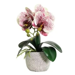 Mini Artificial Orchid Plant in Ceramic Pot White Burgundy 28cm - ORC001 4D