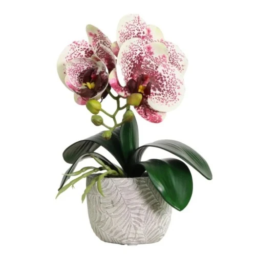 Mini Artificial Orchid Plant in Ceramic Pot White Burgundy 28cm - ORC001 4D