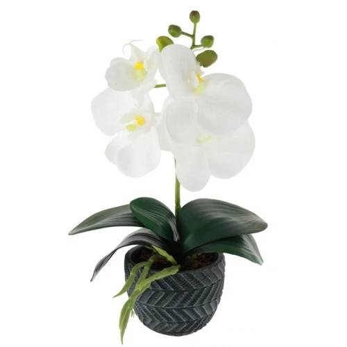 Mini Artificial Orchid Plant in Ceramic Pot White - ORC009 5D