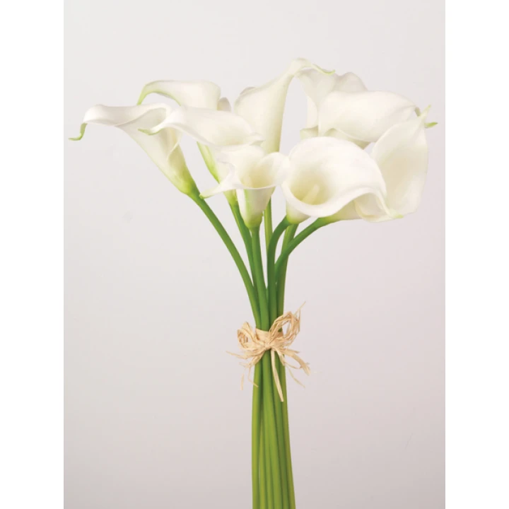Calla Lilies