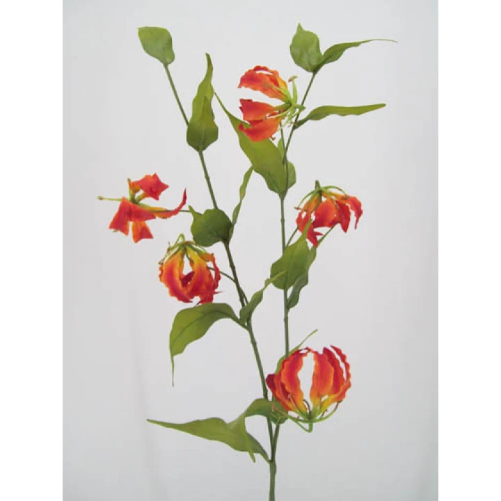 Gloriosa Lilies