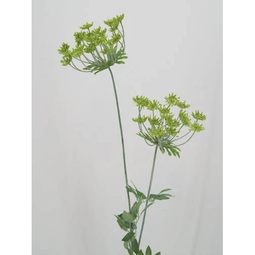 Anethum Green 90cm - A004 B2