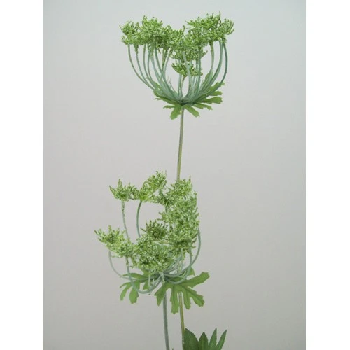 Anethum White 90cm - A005 B2