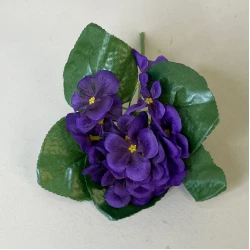 African Violet Purple 21cm - V002 T2