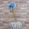 Agapanthus Blue 87cm - A048 A1