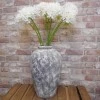 Agapanthus Cream 87cm - A047 A1