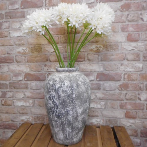 Agapanthus Cream 87cm - A047 A1