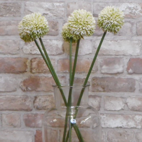 Artificial Hedgerow Allium Cream Green 54cm - A088 A2