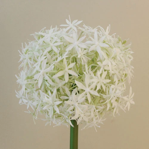 Large Artificial Allium Mount Everest Cream 77cm - A002 