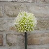 Artificial Hedgerow Allium Cream Green 54cm - A088 A2