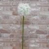 Large Artificial Allium Mount Everest Cream 77cm - A002 