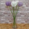 Large Artificial Allium Purple Sensation 77cm - A014 A1