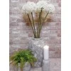 Giant Silk Allium Cream 83cm - A020 A1