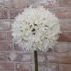 Giant Silk Allium Cream 83cm - A020 A1